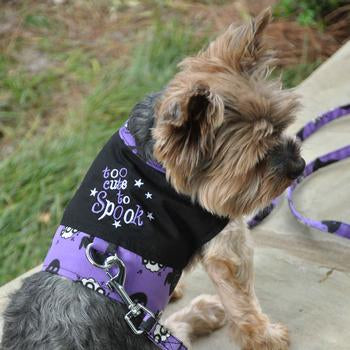 Too Cute to Spook Harness.