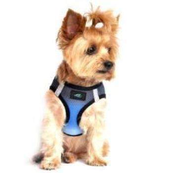 American River Ombre Choke-Free Dog Harness - Midnight Sky.