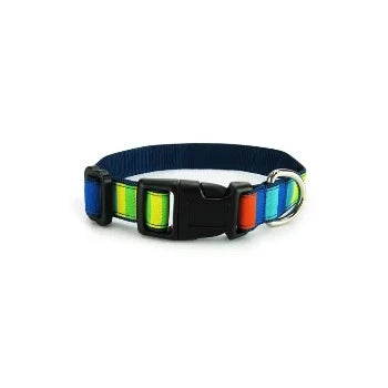 Party Stripes Collar & Leash Collection
