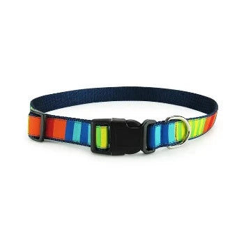 Party Stripes Collar & Leash Collection