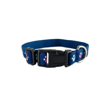 Trendy Paws Collar & Leash Collection