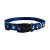 Trendy Paws Collar & Leash Collection