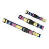 Dog & Me Sunshine Stripes Dog Collar & Leash Collection