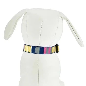 Dog & Me Sunshine Stripes Dog Collar & Leash Collection