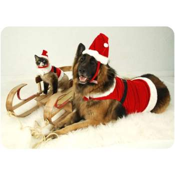 Santa Boy Harness Suit w/Hat & Leash.