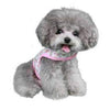 Eva Dog Harness.