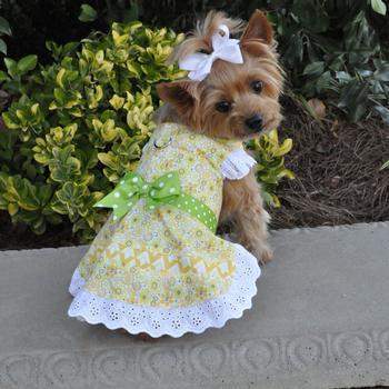 Emily Yellow Floral and Lace Dog Harness Dress.