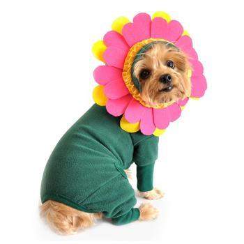 Flower Dog Costume with Flower Headpiece.