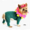 Flower Dog Costume with Flower Headpiece.