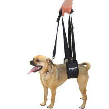 GingerLead Dog Sling Support Harness.