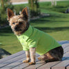 Solid Dog Polo Shirt - Green Flash.