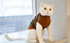 Gus Cat Sweater.