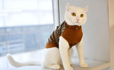 Gus Cat Sweater.