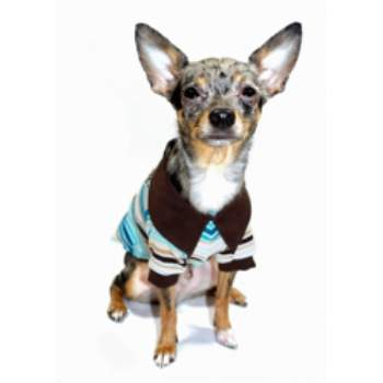 Crown HD Dog Polo Shirt.