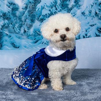 Snowflakes Dress with Matching Leash.