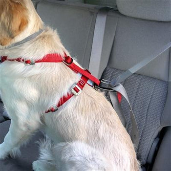 Enhanced Strength Tru-Fit Smart Dog Harness w/Seatbelt Tether.