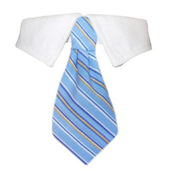 Kyle Shirt Collar & Tie.