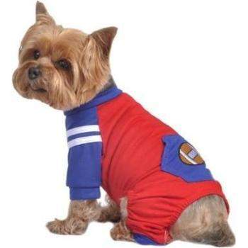 NFL Dog Apparel and Accessories