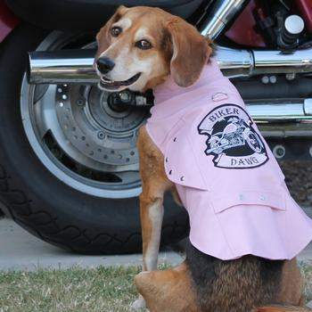 Biker Dawg Motorcycle Jacket - Pink.