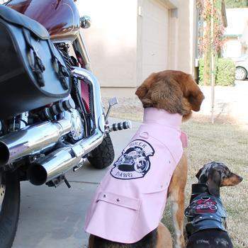 Biker Dawg Motorcycle Jacket - Pink.