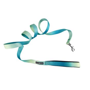 American River Ombre Leash.