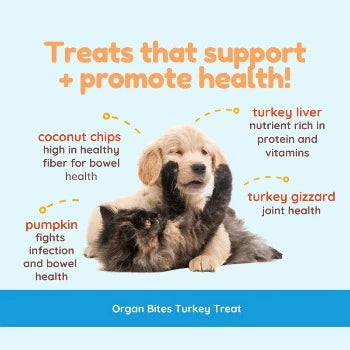 CocoTherapy Organ Bites! Turkey Organs + Pumpkin + Coconut Dog & Cat Treats