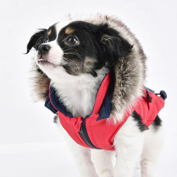 Louis Pup Reversible Fluffy Vest, Paws Circle