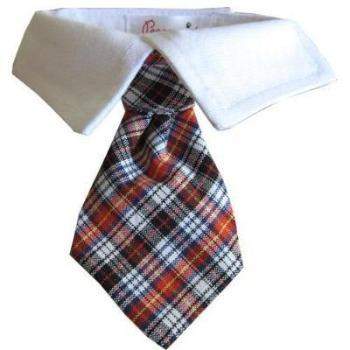 Nicholas Tie & Shirt Collar for Dogs.