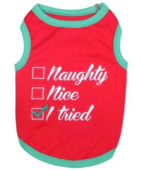 Naughty Nice I Tried T-Shirt.