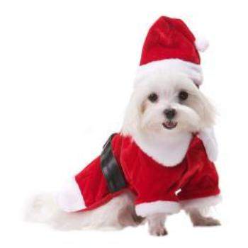 Santa Paws Coat with Hat.