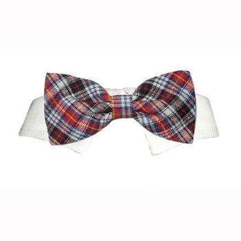 Pooch Outfitters Samuel Shirt Collar & Bow Tie.