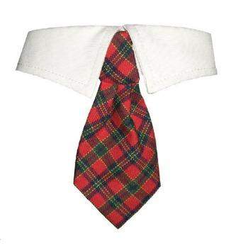 Pooch Outfitters Christmas Shirt Collar & Tie.