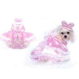 Barktoria Secret Costume.
