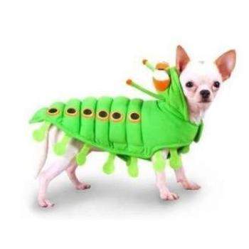 Caterpillar Costume.