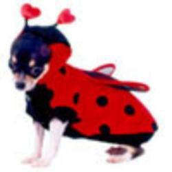 Ladybug Costume.