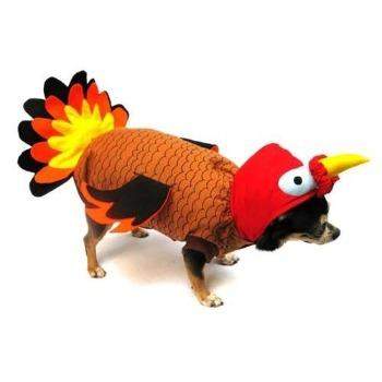 Turkey Costume.