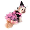 Halloween Shiny Pink Witch Costume.