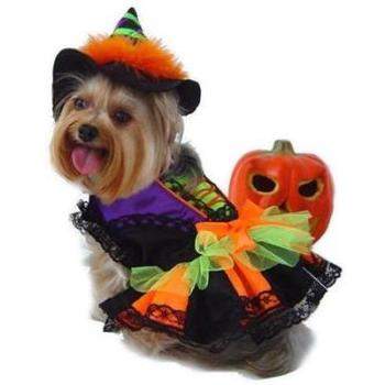Halloween Witch Costume.