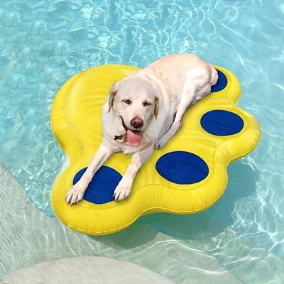 Paws Aboard Dog Raft | Doggy Lazy Raft