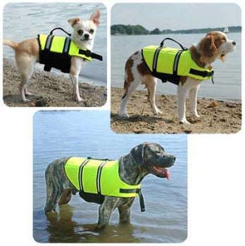 Yellow Dog Life Jacket.