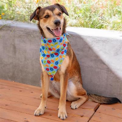 Huxley & Kent Party Time Birthday Dog Bandana-Paws & Purrs Barkery & Boutique
