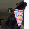 Huxley & Kent Party Time Birthday Dog Bandana-Paws & Purrs Barkery & Boutique