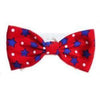 Pooch Outfitters Charlie Shirt Collar & Bow Tie.