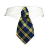 Harry Shirt Collar & Tie.