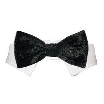 The Valentino Shirt Collar & Bow Tie by Pooch Outfitters is a black classic bow tie on a white velvet dress-up collar, perfect for formal canine wear.