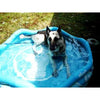 Mariner Inflatable Dog Pool.