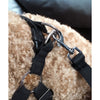 Precious Tails Seat Belt Compatible Travel Pet Bed