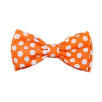 Presley Bow Tie Collar Slider.