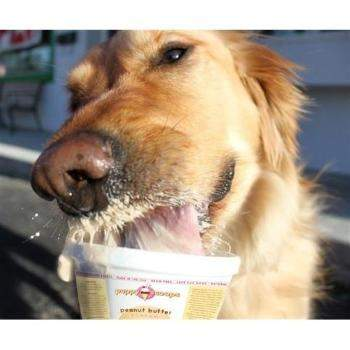 Puppy Scoops "Smart Scoops" Blueberry Goat's Milk Ice Cream Mix.