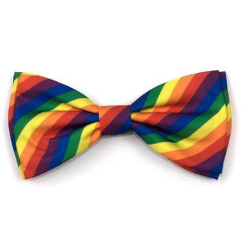 Rainbow Bow Tie.
